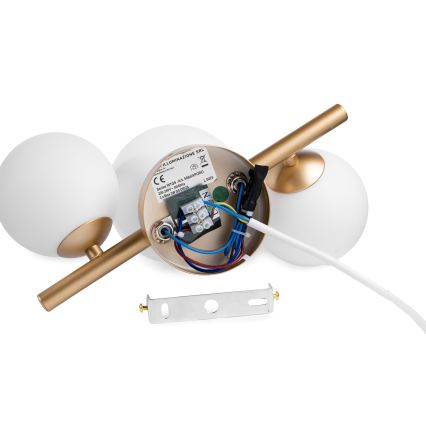 ONLI - Zidno svetlo PALOMA 3xG9/10W/230V zlatno