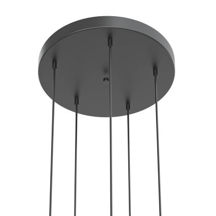 Open Design OR85518 - LED luster na sajli BOLICINA 5xLED/5W/230V zlatna/crna