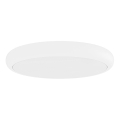 Open Design OR86218 - LED stropno svetlo PIATTO LED/55W/230V 3000/4500/6500K, prečnik 60 cm, belo