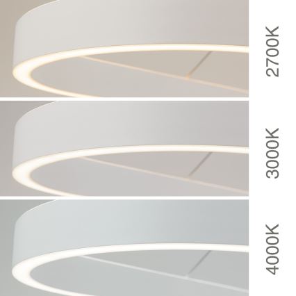 LED luster na sajli CARRARA LED/80W/230V 2700/3000/4000K bela