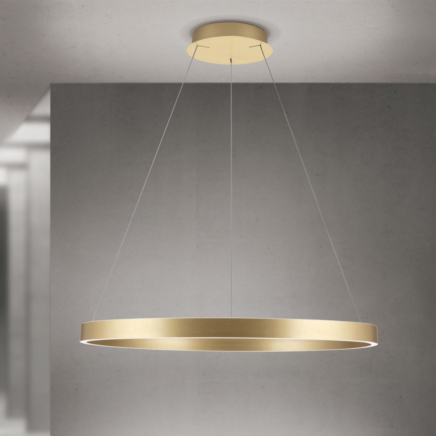 LED prigušiva luster na sajli KOLK LED/80W/230V 2700/3000/4000K prečnik 80 cm zlatna