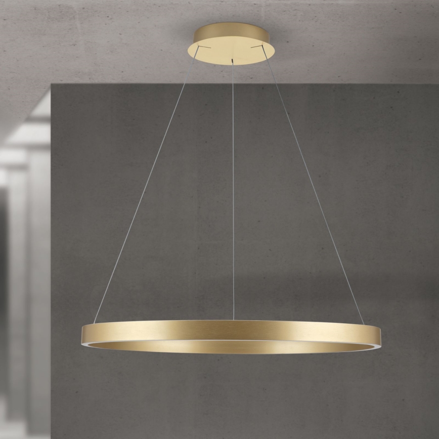 LED prigušiva luster na sajli KOLK LED/80W/230V 2700/3000/4000K prečnik 80 cm zlatna