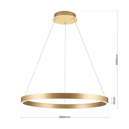 LED prigušiva luster na sajli KOLK LED/80W/230V 2700/3000/4000K prečnik 80 cm zlatna
