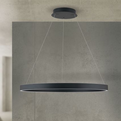 LED prigušiva luster na sajli KOLK LED/80W/230V 2700/3000/4000K preč. 80 cm crna