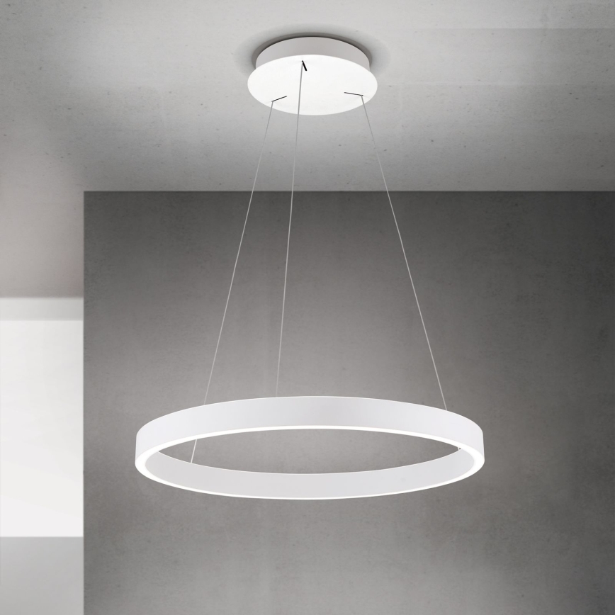 LED prigušiva luster na sajli KOLK LED/60W/230V 2700/3000/4000K Ø 60 cm bela
