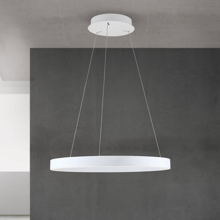 LED prigušiva luster na sajli KOLK LED/60W/230V 2700/3000/4000K Ø 60 cm bela