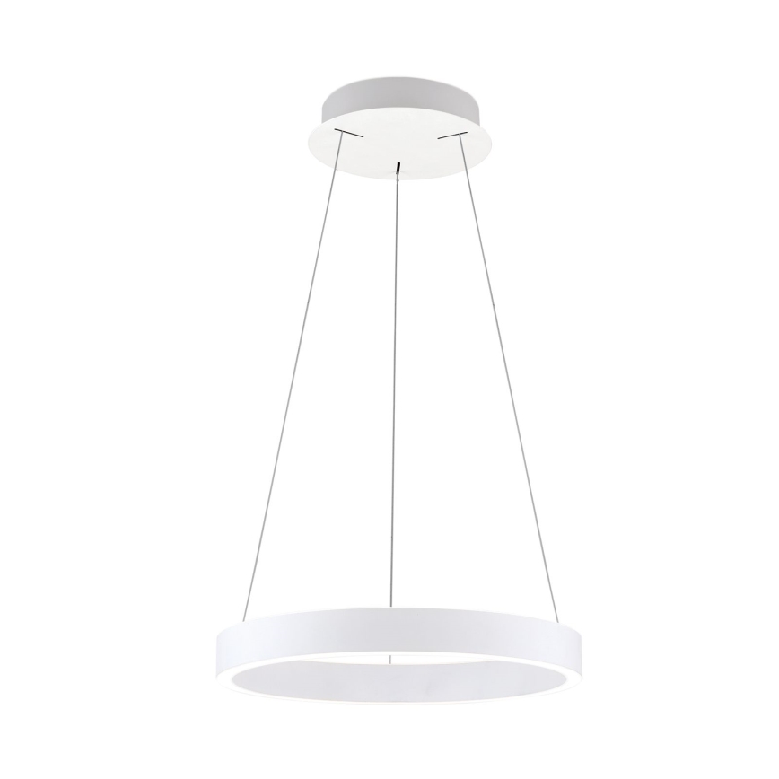 LED luster na sajli, prigušiva KOLK LED/40W/230V 2700/3000/4000K prečnik 40 cm, bela