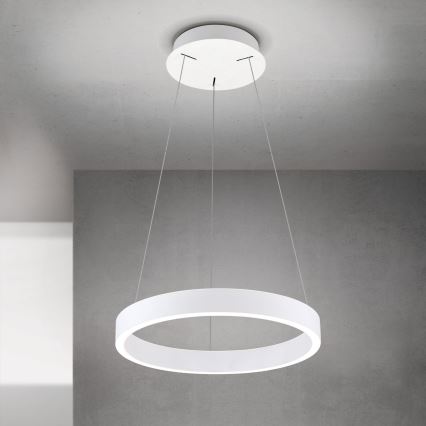 LED luster na sajli, prigušiva KOLK LED/40W/230V 2700/3000/4000K prečnik 40 cm, bela