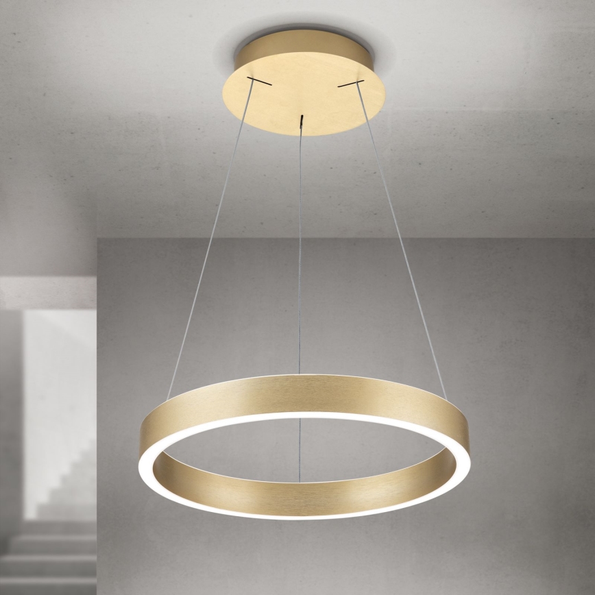 LED luster KOLK na sajli sa prigušivačem LED/40W/230V 2700/3000/4000K prečnik 40 cm zlatna
