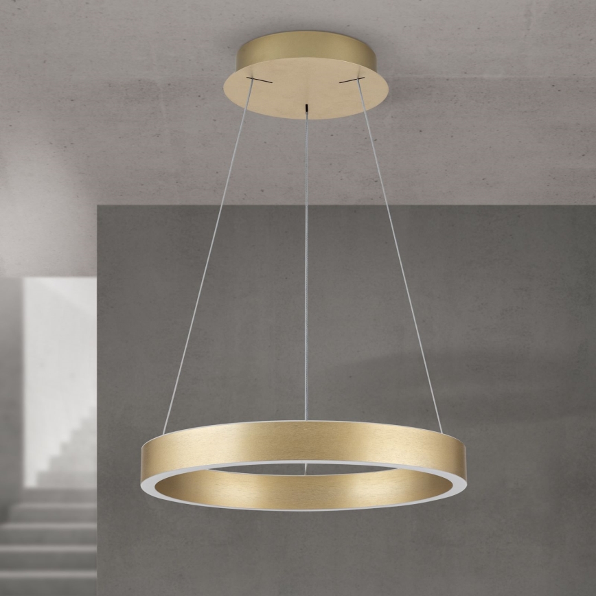 LED luster KOLK na sajli sa prigušivačem LED/40W/230V 2700/3000/4000K prečnik 40 cm zlatna