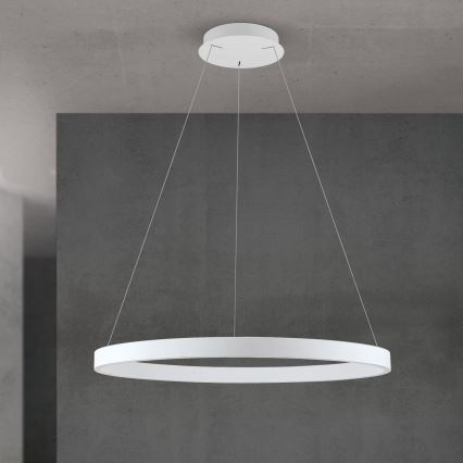 LED prigušiva luster na sajli KOLK LED/80W/230V 2700/3000/4000K prečnik 80 cm bela