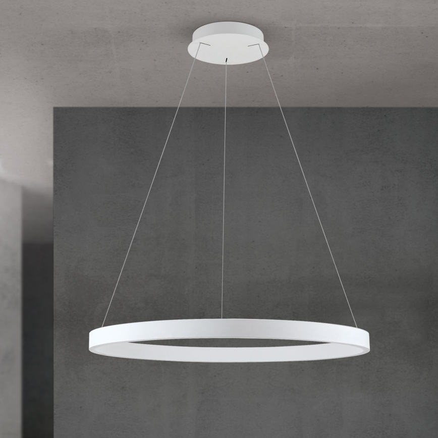 LED prigušiva luster na sajli KOLK LED/80W/230V 2700/3000/4000K prečnik 80 cm bela