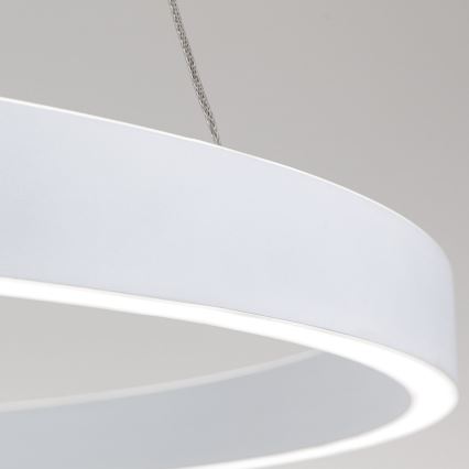 LED prigušiva luster na sajli KOLK LED/80W/230V 2700/3000/4000K prečnik 80 cm bela