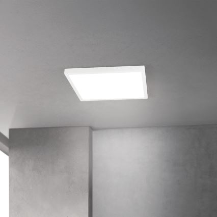 LED prigušiva stropna svetiljka DISC LED/30W/230V 2700/3000/4000K 39x39 cm bela
