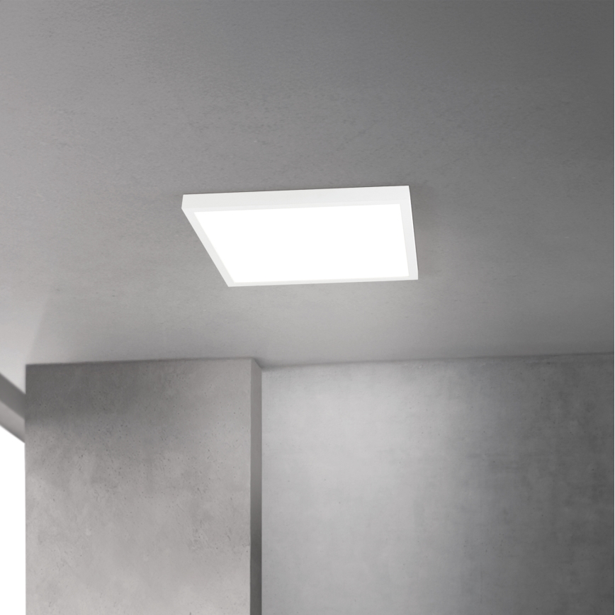 LED prigušiva stropna svetiljka DISC LED/30W/230V 2700/3000/4000K 39x39 cm bela