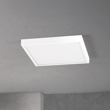 LED prigušiva stropna svetiljka DISC LED/30W/230V 2700/3000/4000K 39x39 cm bela