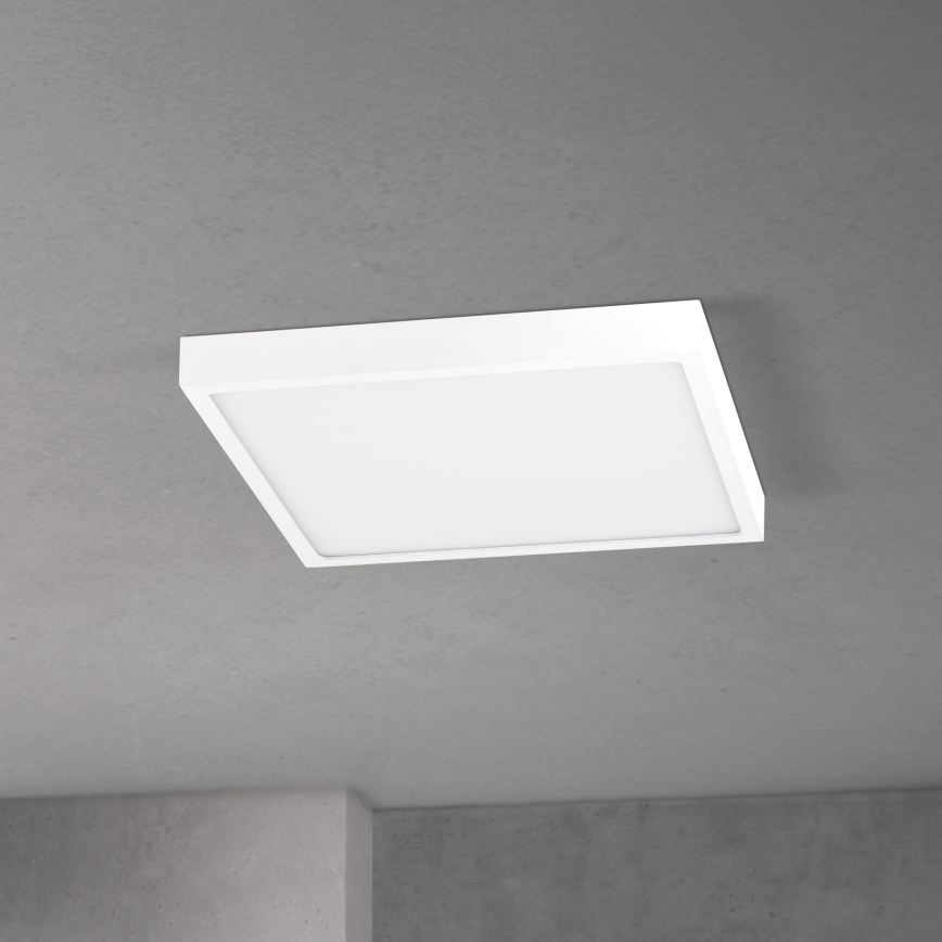 LED prigušiva stropna svetiljka DISC LED/30W/230V 2700/3000/4000K 39x39 cm bela