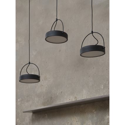 Osram - LED luster na sajli DECOR PUCK 3xLED/12W/230V CRI 90 crna