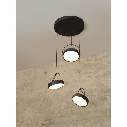 Osram - LED luster na sajli DECOR PUCK 3xLED/12W/230V CRI 90 crna