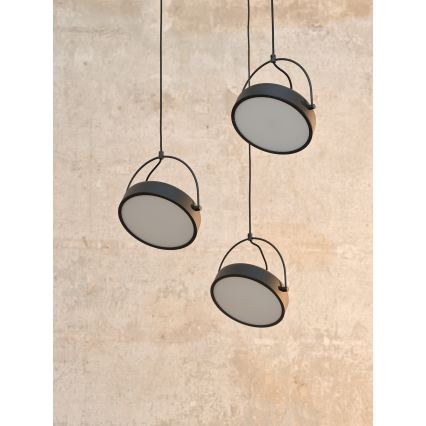 Osram - LED luster na sajli DECOR PUCK 3xLED/12W/230V CRI 90 crna