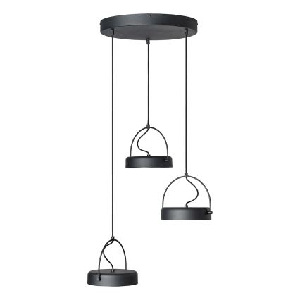 Osram - LED luster na sajli DECOR PUCK 3xLED/12W/230V CRI 90 crna