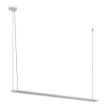 Osram - LED luster na sajli, prigušiva, OFFICE LINE LED/40W/230V 4000K 120 cm bela