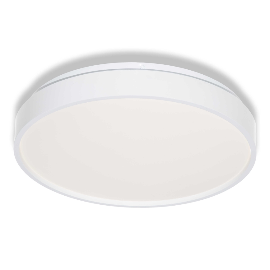 Osram - LED plafonsko svetlo CEILING LUXO LED/18W/230V prečnik 32 cm belo