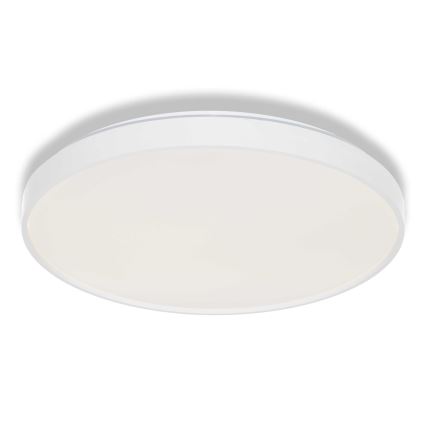 Osram - LED plafonsko svetlo CEILING LUXO LED/36W/230V prečnik 49 cm belo