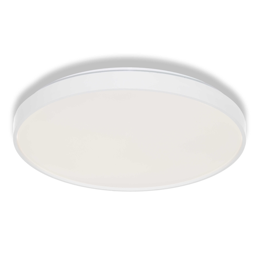 Osram - LED plafonsko svetlo CEILING LUXO LED/36W/230V prečnik 49 cm belo