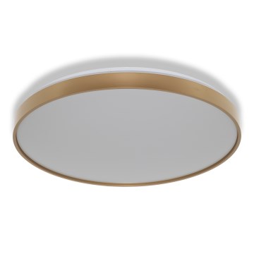 Osram - LED plafonsko svetlo CEILING LUXO LED/60W/230V Ø 56 cm zlatna