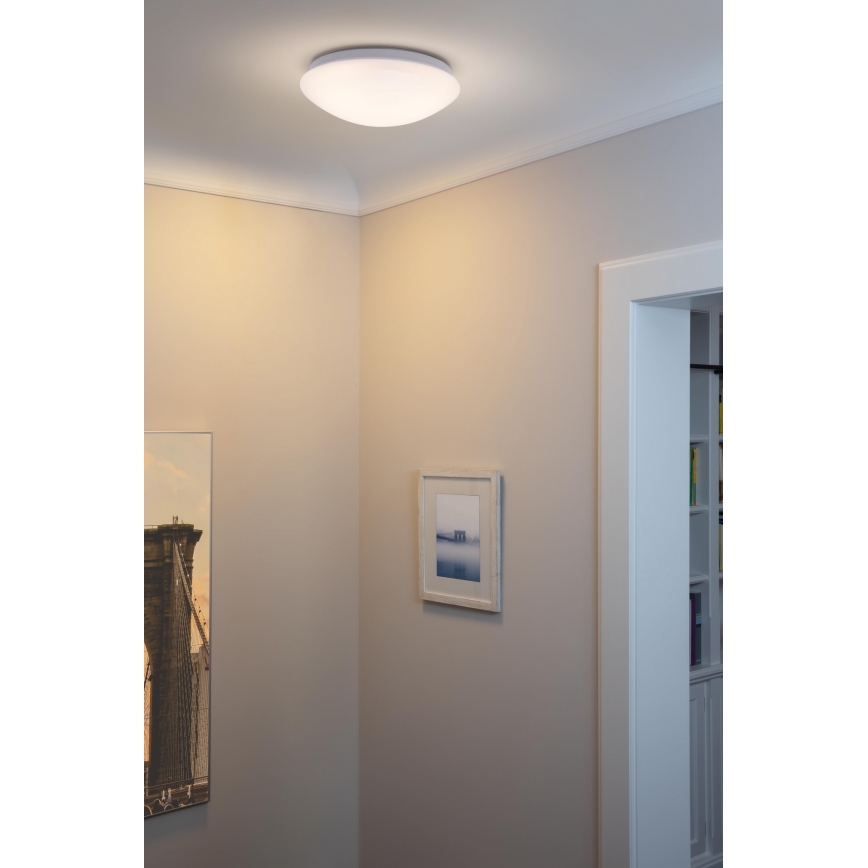 Osram - LED plafonsko svetlo ESSENTIAL LED/13W/230V 4000K prečnik 25 cm