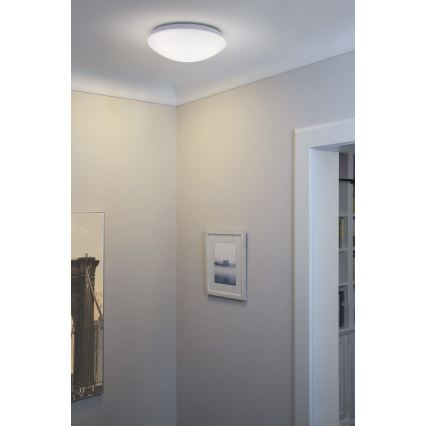 Osram - LED plafonsko svetlo ESSENTIAL LED/13W/230V 6500K prečnik 25 cm