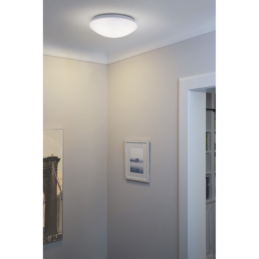 Osram - LED plafonsko svetlo ESSENTIAL LED/13W/230V 6500K prečnik 25 cm