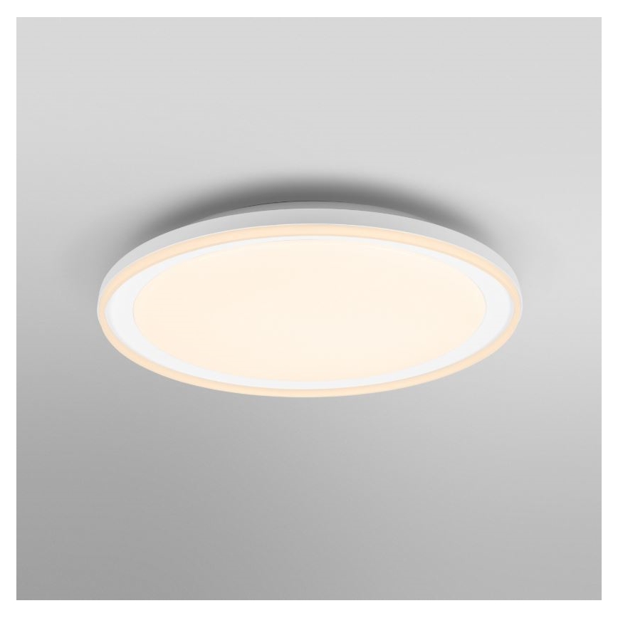 Osram - LED plafonsko svetlo ORBIS PEDERSON LED/36W/230V Ø 55 cm belo