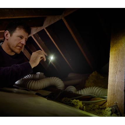 Osram - LED prigušiva baterijska lampa LEDINSPECT TORCH 250 ESSENTIAL LED/2W/2xAAA IP44