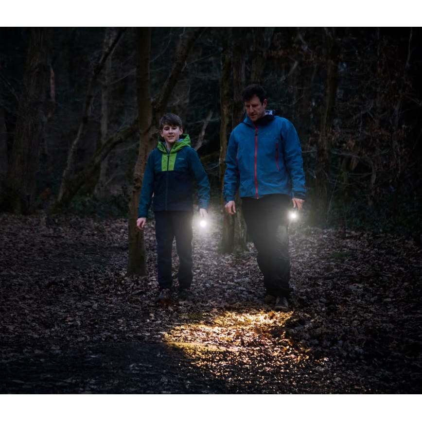 Osram - prigušiva LED ručna lampa LEDINSPECT TORCH 350 ESSENTIAL LED/4W/2xAAA IP44