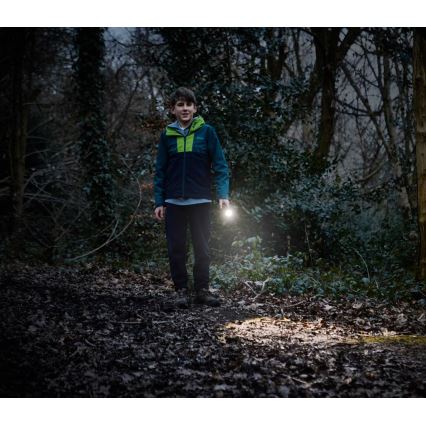 Osram - prigušiva LED ručna lampa LEDINSPECT TORCH 350 ESSENTIAL LED/4W/2xAAA IP44