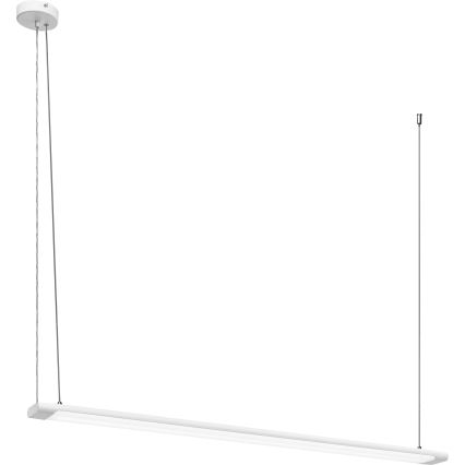 Osram - LED luster na sajli, prigušiva, OFFICE LINE LED/40W/230V 4000K 120 cm bela