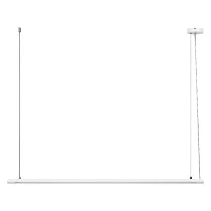 Osram - LED luster na sajli, prigušiva, OFFICE LINE LED/40W/230V 4000K 120 cm bela