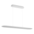 Osram - LED prigušiva luster na sajli OFFICE LINE LED/57W/230V 4000K 100 cm CRI 90 bela