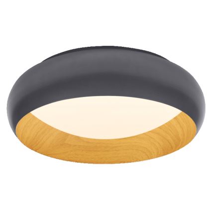 Osram - LED prigušiva plafonska svetiljka ORBIS LIVIA LED/16W/230V preč. 30 cm antracit/braon