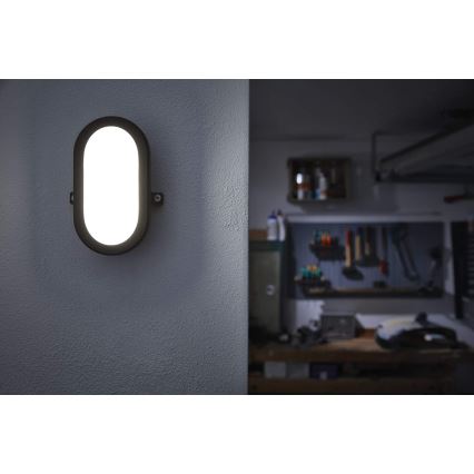 Osram - LED spoljašnje zidno svetlo BULKHEAD LED/6W/230V IP54 crno