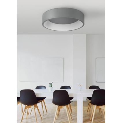 Plafonska LED svetiljka KAJI LED/20W/230V