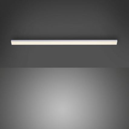 Paul Neuhaus 1125-21-A - LED proširujuća svetiljka za montiranje ispod police AMON LED/6W/12/230V