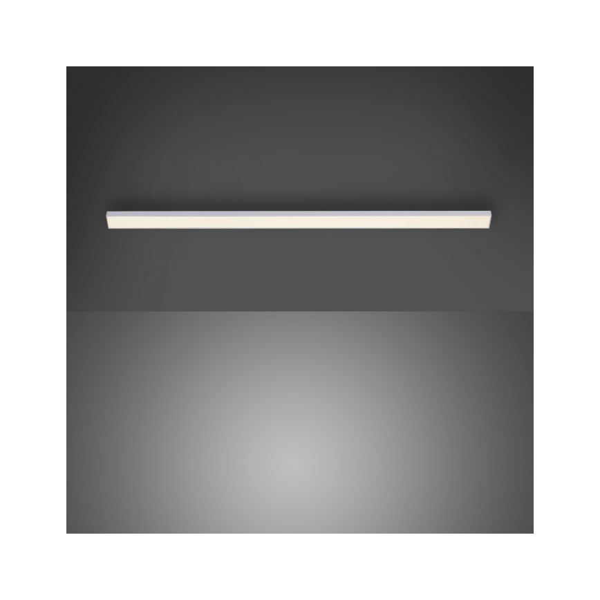 Paul Neuhaus 1125-21-A - LED proširujuća svetiljka za montiranje ispod police AMON LED/6W/12/230V