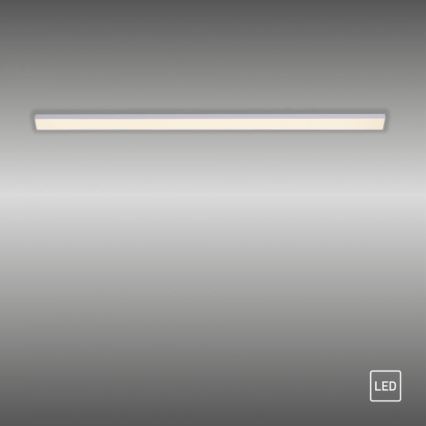 Paul Neuhaus 1125-21-A - LED proširujuća svetiljka za montiranje ispod police AMON LED/6W/12/230V