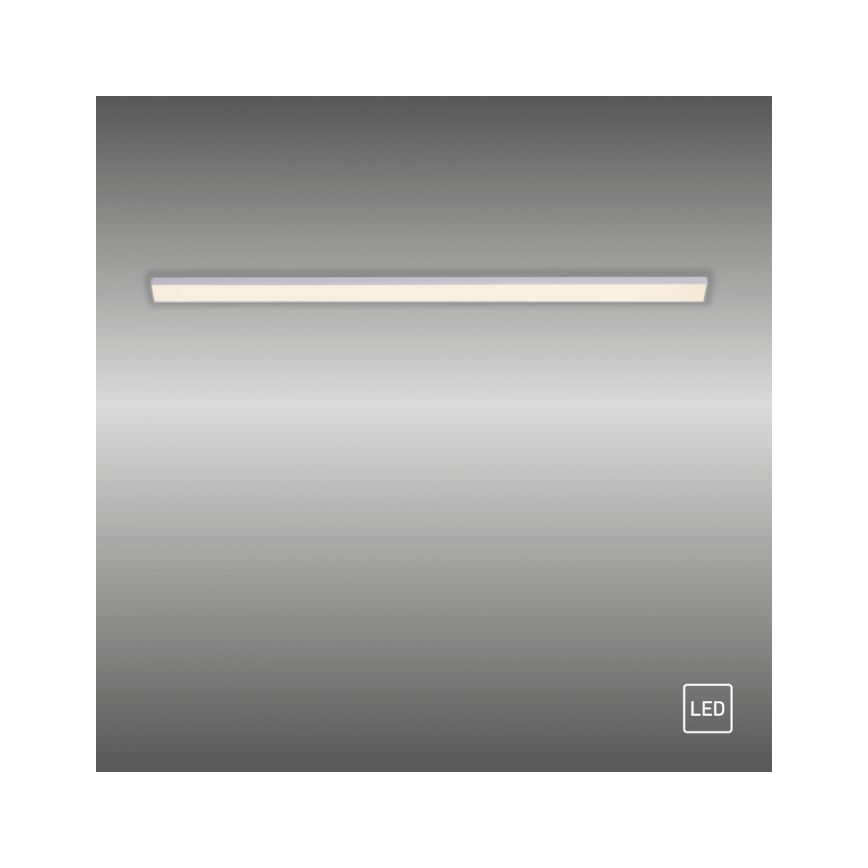 Paul Neuhaus 1125-21-A - LED proširujuća svetiljka za montiranje ispod police AMON LED/6W/12/230V