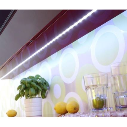 Paul Neuhaus 1205-70 - LED RGB prigušiva traka TEANIA 10 m LED/30W/12/230V + daljinski upravljač