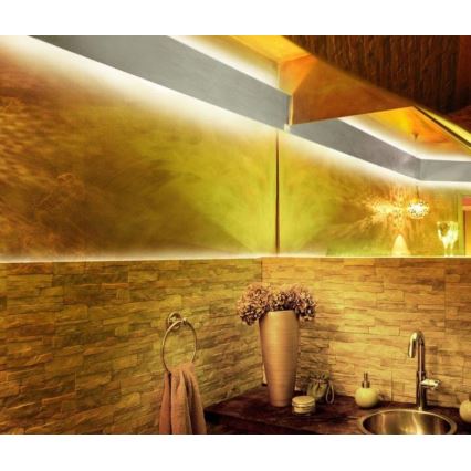 Paul Neuhaus 1205-70 - LED RGB prigušiva traka TEANIA 10 m LED/30W/12/230V + daljinski upravljač