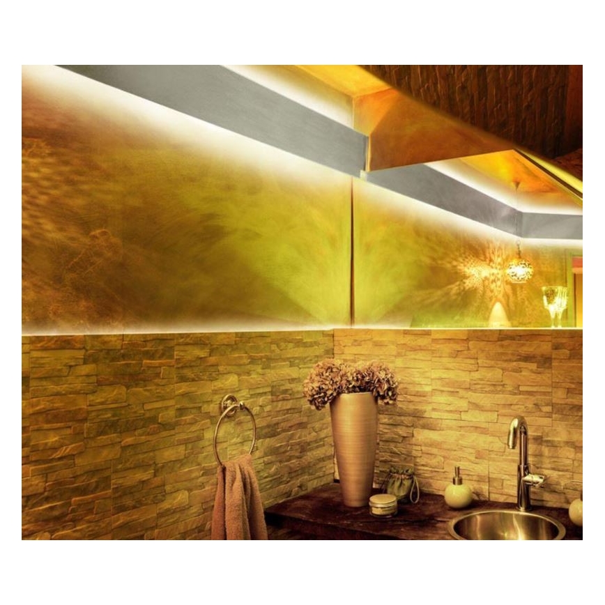 Paul Neuhaus 1205-70 - LED RGB prigušiva traka TEANIA 10 m LED/30W/12/230V + daljinski upravljač